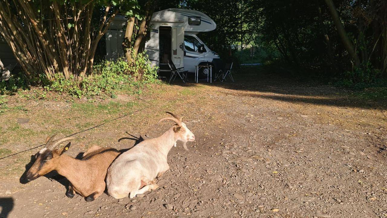 Camping: bring your tent or van in Feldkirchen bei Graz, Steirerland