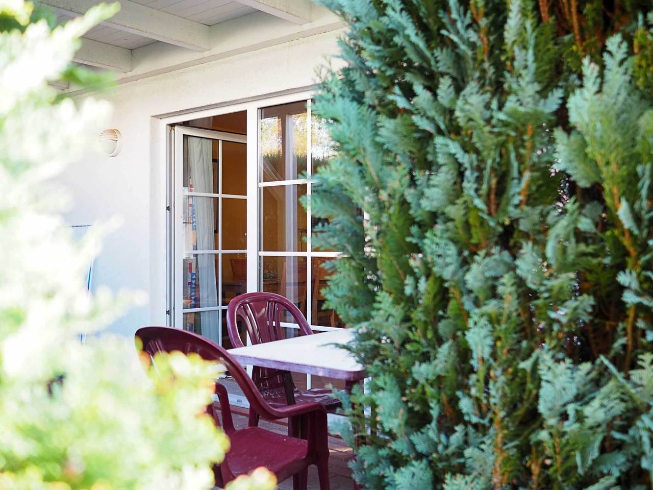 Ganze Ferienwohnung, Fewo  "Stems - W5" in Prerow, Fischland - Darß - Zingst