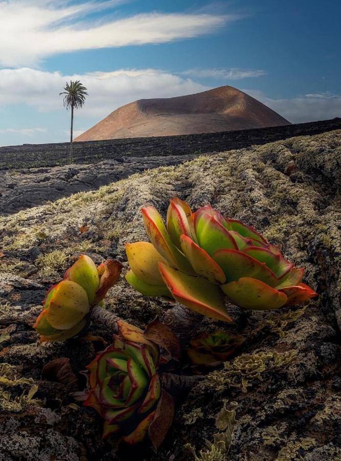 Casa rural para 5 personas, con vistas y jardín en San Bartolomé - 3