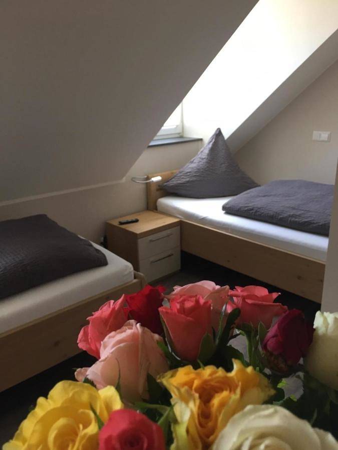 Haus am Parc in Meppen, Hasetal