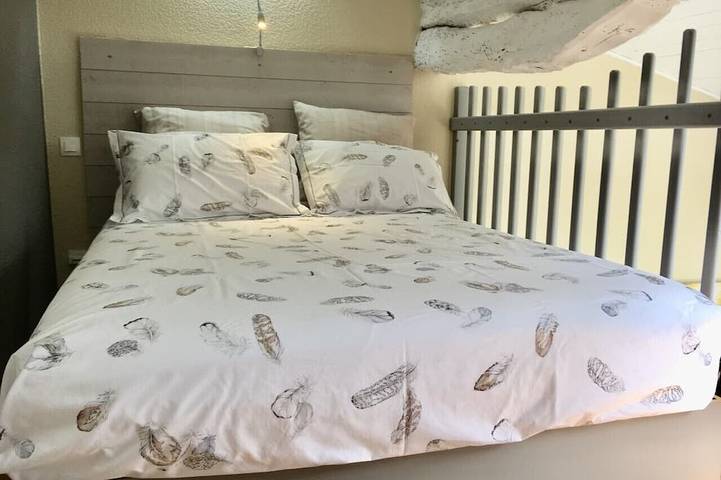 Gîte pour 4 personnes, avec terrasse et jacuzzi à Avignonet-Lauragais - 2