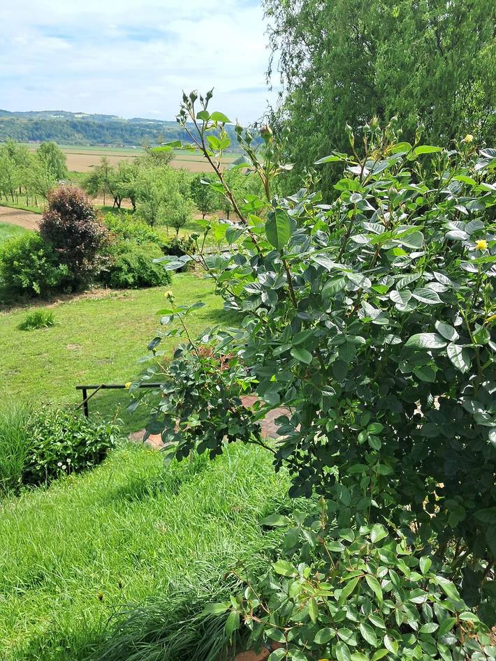 Komfortables Haus mit Terrasse Lipik, Slavonija in Pozega-Slawonien