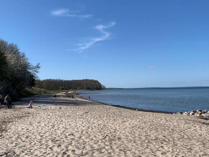 Ferienwohnung für 4 Personen, mit Garten und Terrasse in Niesgrau - 3