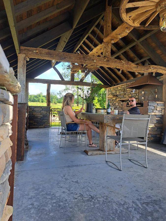 Location de vacances pour 14 personnes, avec sauna ainsi que jardin et jacuzzi dans Tailles - 2