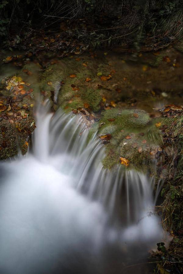 Hôtel pour 2 personnes, avec sauna et jardin ainsi que vue et piscine, animaux acceptés à Despotovac - 4