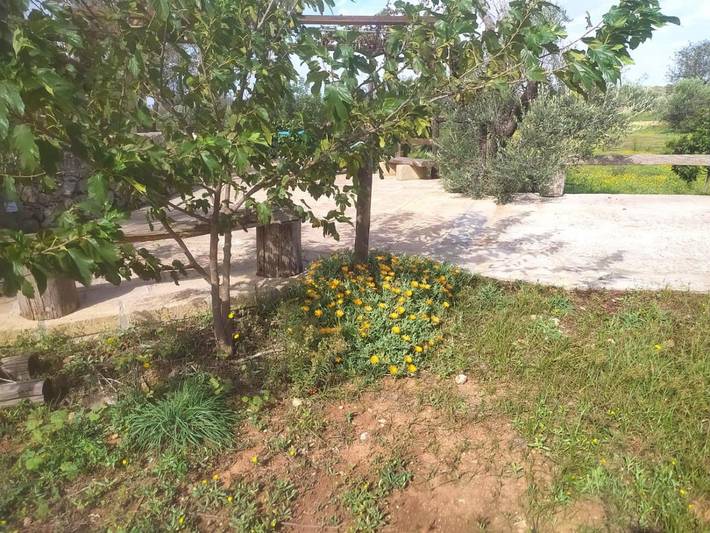 Landhaus für 2 Personen, mit Garten und Ausblick sowie Pool, mit Haustier in Italien - 2