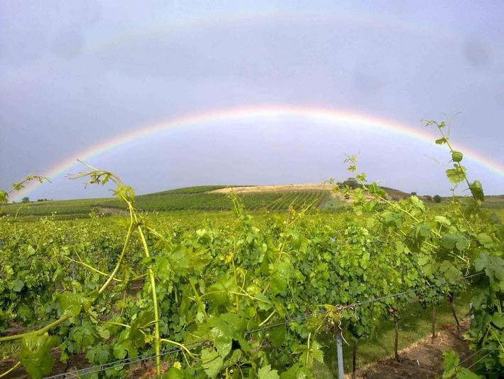 Ferienwohnung für 6 Personen in Rhein Main Gebiet - 3