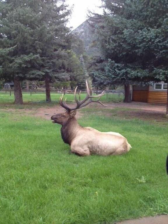 Holiday rental for 6 people, with terrace and garden in Colorado