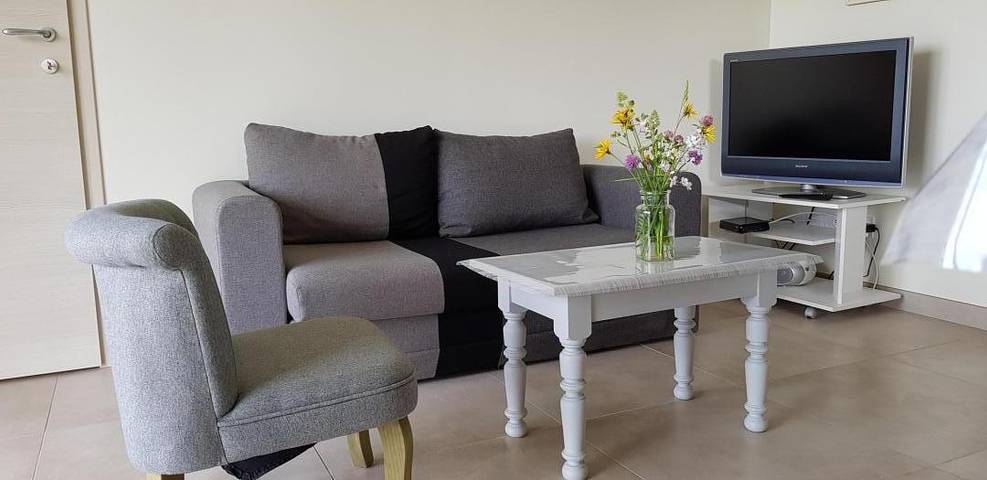Gîte für 4 Personen, mit Terrasse und Garten sowie Ausblick und Seeblick in Franche-Comté - 3