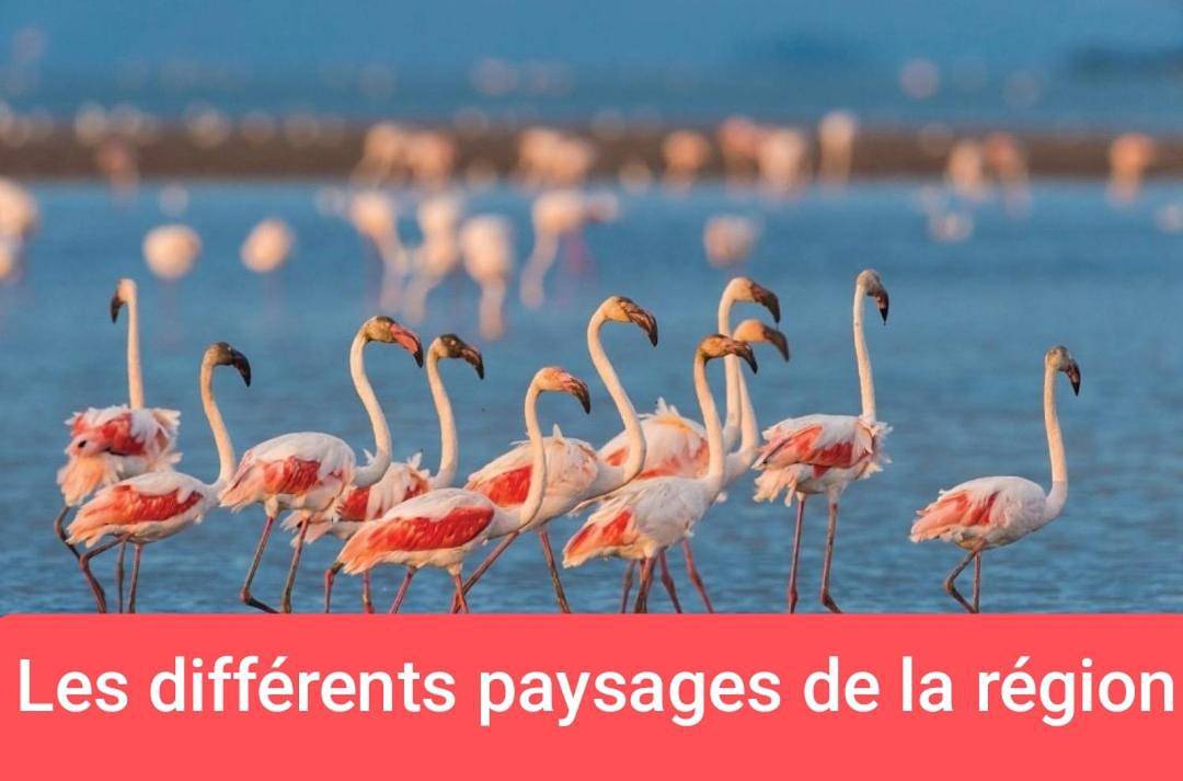 Montpellier van aménagé Sans Wc Sanitaire Et Cuisine, Juste Pour Dépanner quelques nuits, Prévoir Une Batterie Externe Pour Les Téléphones Merci De Bien Lire Le Descriptif in Port Marianne, Montpellier