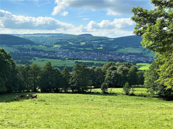 Ferienwohnung für 4 Personen, mit Terrasse, kinderfreundlich in Rhön-Hessen - 2