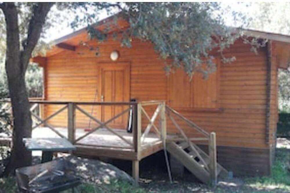 The Tinutella 1, the Tinutella in Abbartello, Olmeto