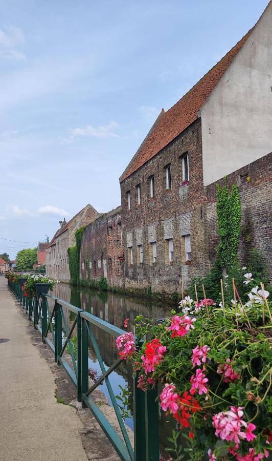 Cœur de Lys in Aire-sur-la-Lys, Région de Saint-Omer
