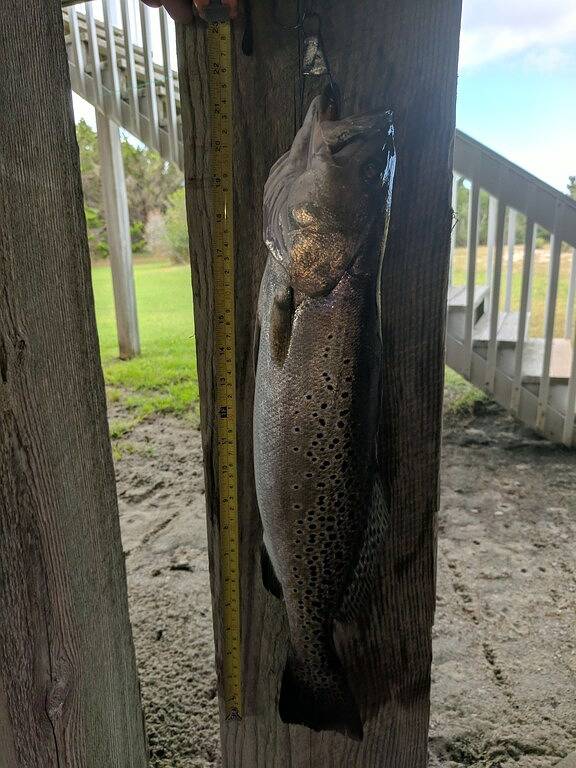 Obx Beach House + Fahrräder-Paddle-Boards-Kajaks-Liegestühle-Ac-Kabel-Tv-Free Wifi in Mirlo Beach, Rodanthe