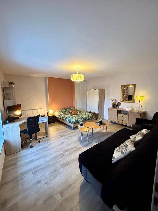 Appartement entier, One-Bedroom Apartment in Chaumont, Haute-Marne
