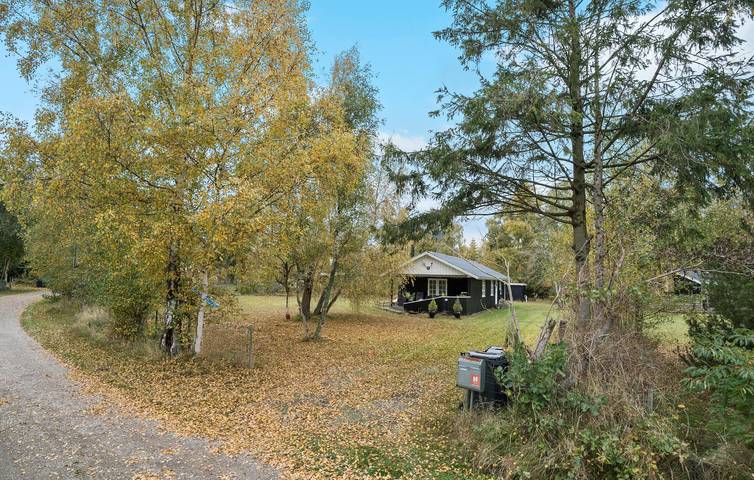 Ferienhaus für 4 Personen, mit Terrasse und Garten, mit Haustier in Marielyst - 2
