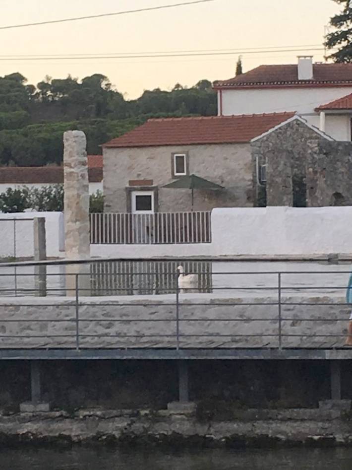 Casa de férias para 6 pessoas, com Terraço e Jardim e ainda Piscina and Vista em Condeixa-a-Nova