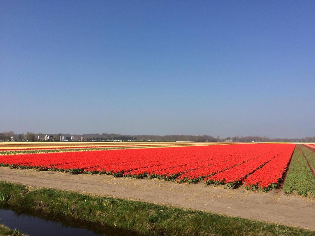 Bed & Breakfast De Vier Seizoenen in Lisse, Mer du Nord Pays-Bas