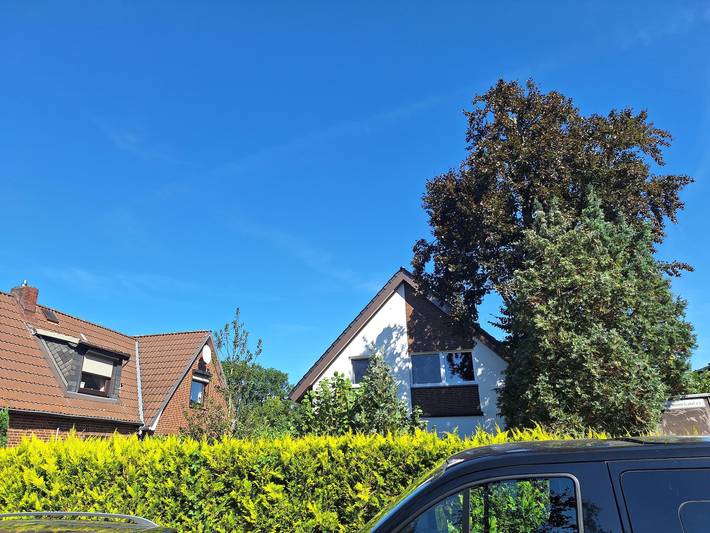 Ferienwohnung für 4 Personen in Winsen (Luhe) - 3