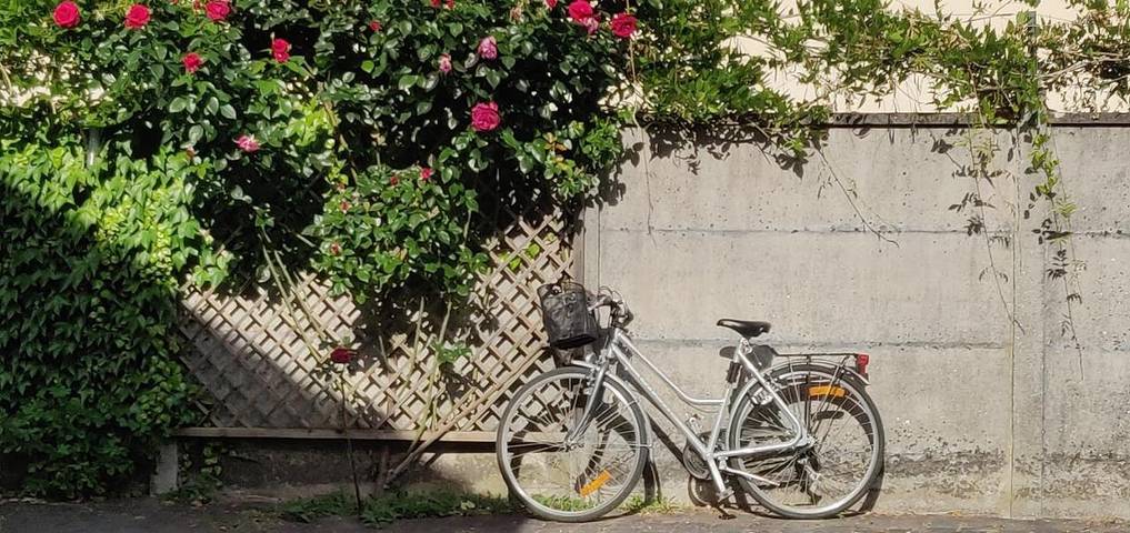 Location de vacances pour 2 personnes, avec jardin et piscine à Bourron-Marlotte - 2