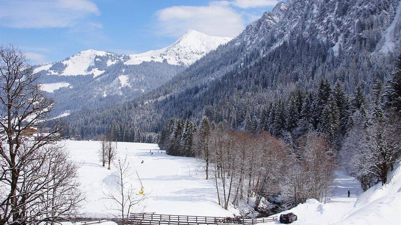 Ganze Ferienwohnung, Ferienwohnung für 2 Personen (43 m²) in Mittelberg (Kleinwalsertal) in Mittelberg, Kleinwalsertal