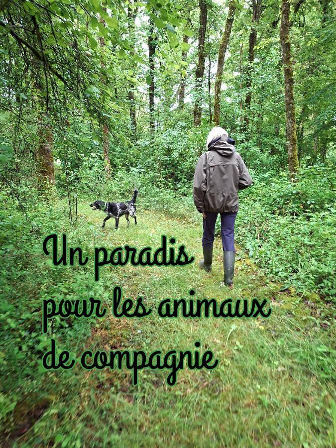 Chambre d’hôte pour 2 personnes, avec vue et jardin, animaux acceptés dans Haute-Vienne