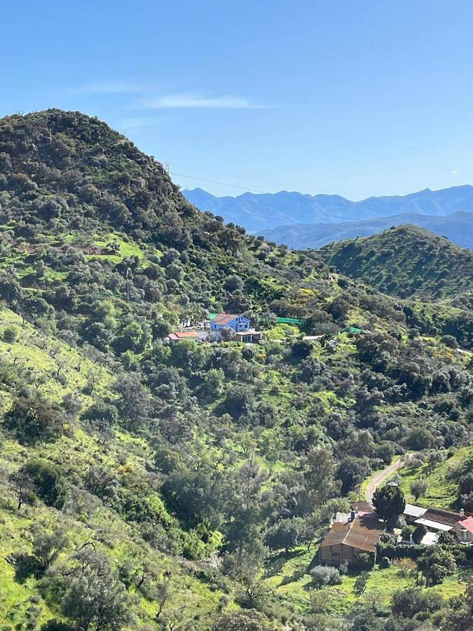 Chalet pour 14 personnes, avec vue ainsi que piscine et jardin à Malaga - 2
