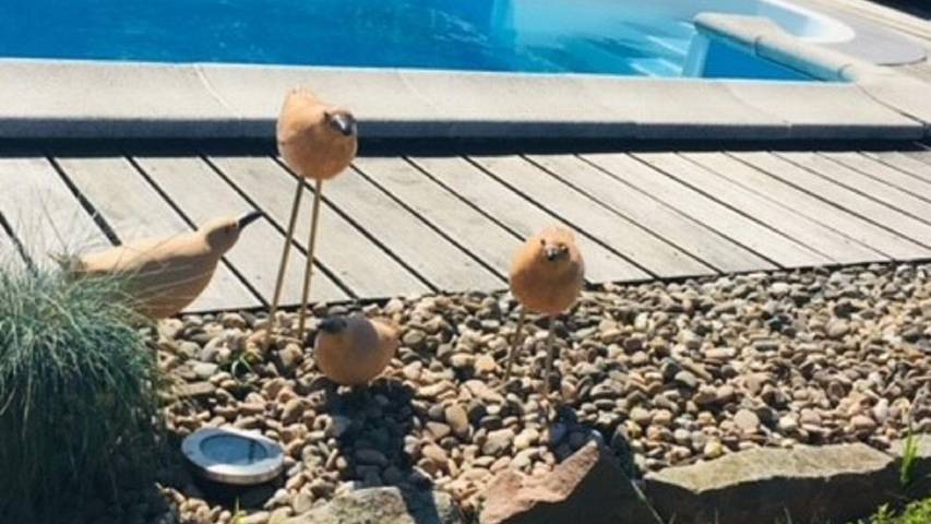 Ferienwohnung für 2 Personen, mit Garten in Oberthal - 3