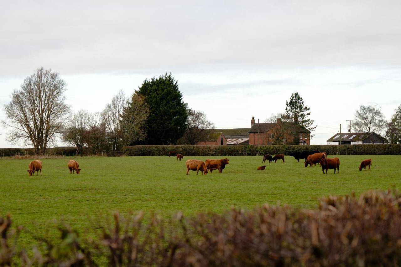 Splash Leys a peaceful getaway in beautiful surroundings in Warwickshire