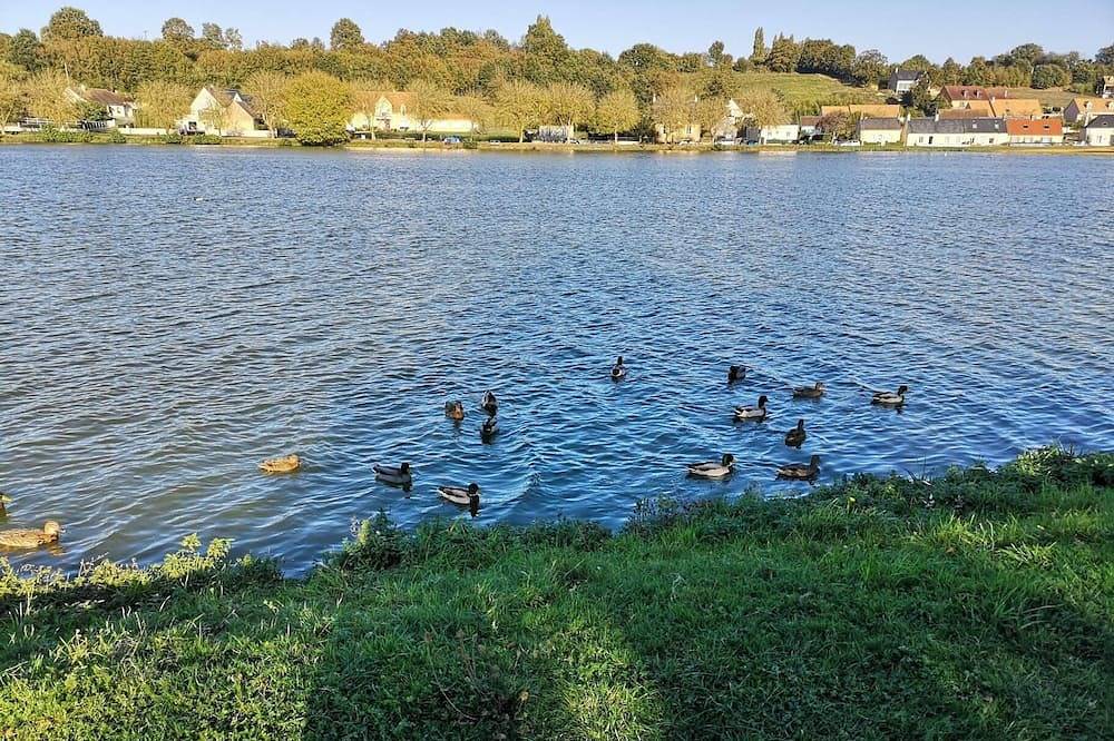 Welcome to Tuffe 11 beds in the center of village short walk to lake in Tuffé, Sarthe