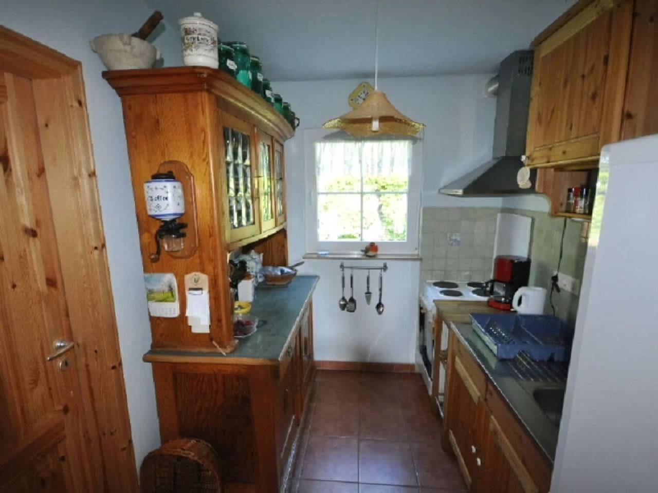 Red-throated diver Modern retreat in Putgarten, Rügen