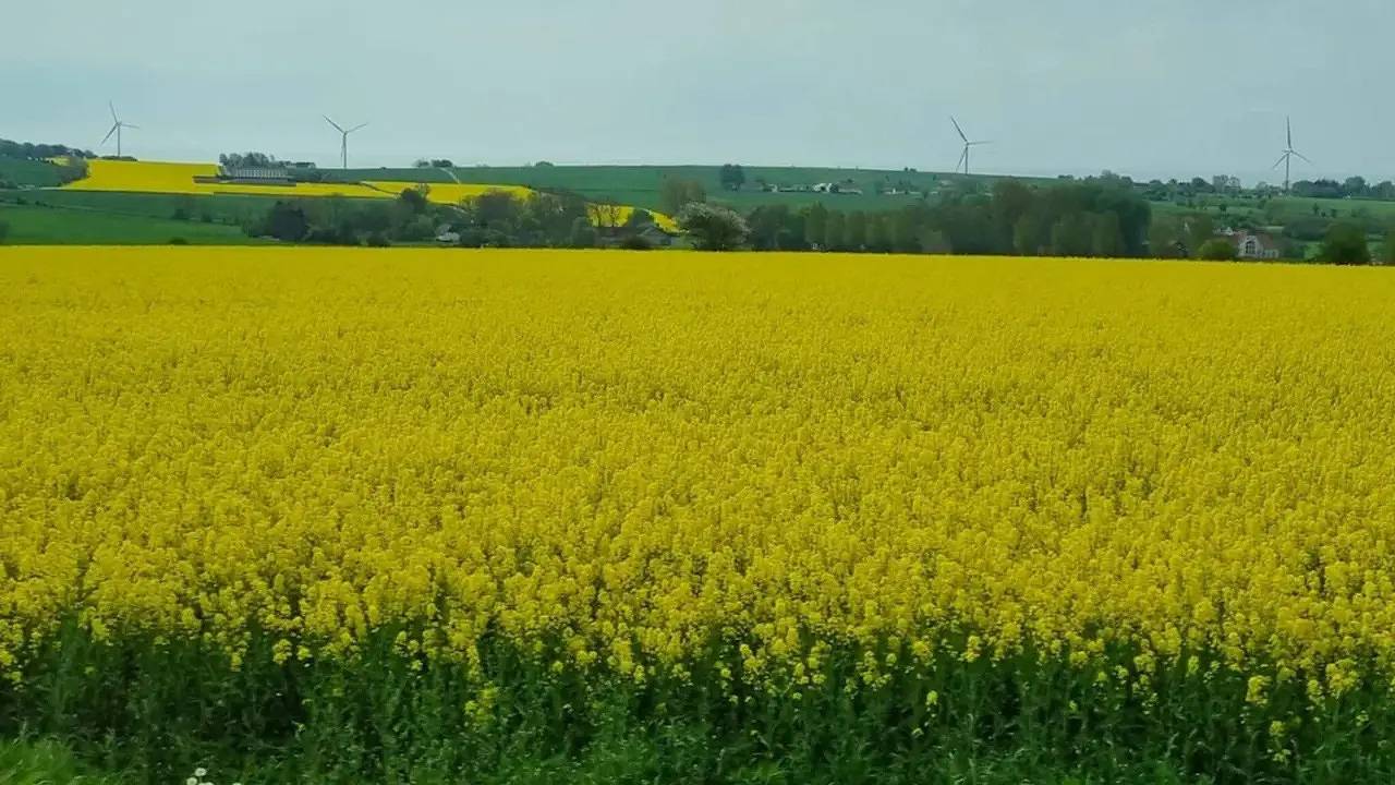 Ferienhaus für 4 Personen (65 m²) in Marstal in Marstal, Little Belt