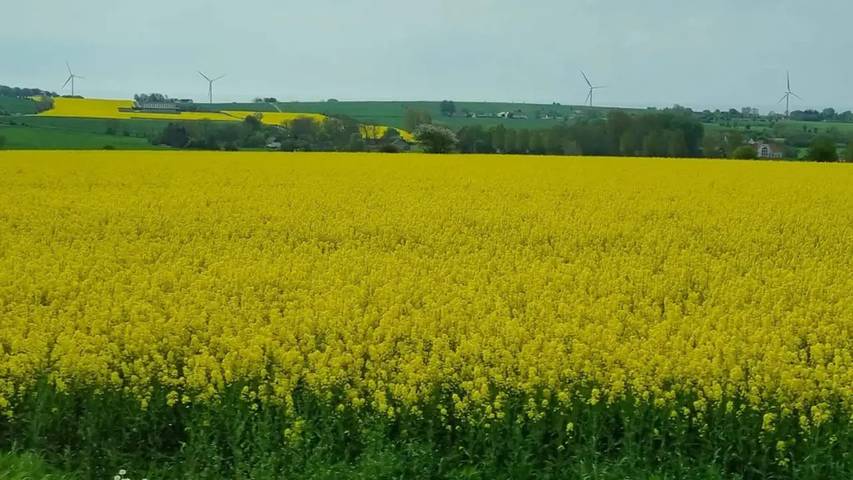 Ferienhaus für 5 Personen, mit Garten in Marstal - 3