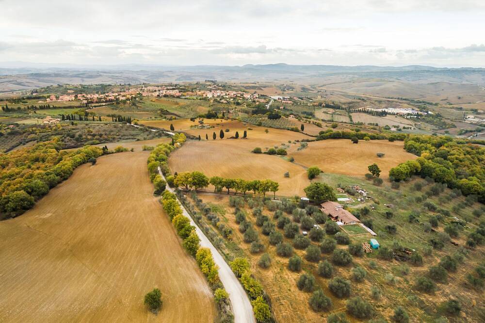 Ganze Wohnung, Agriturismo Cantagalli, Cedrone Wohnung in San Quirico d'Orcia, Orciatal