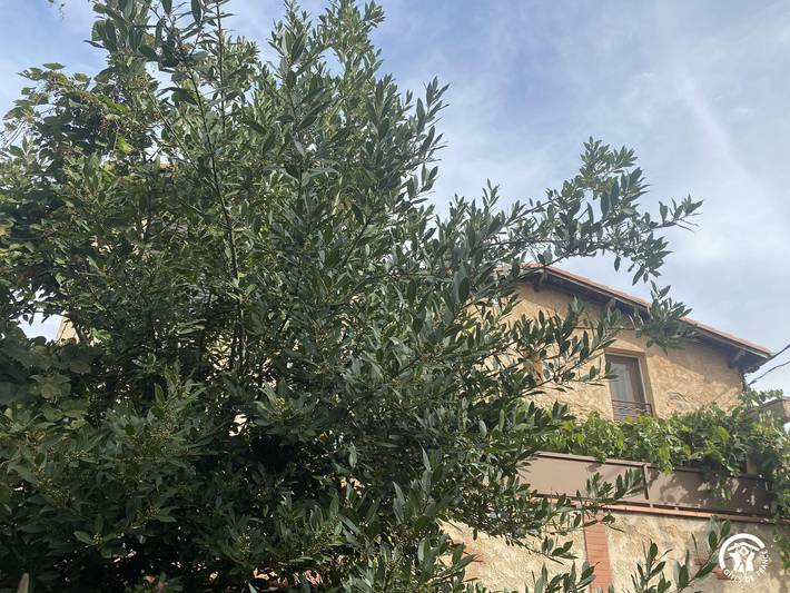 Gîte du Cady in Casteil, Parque Natural Regional de los Pirineos Catalanes