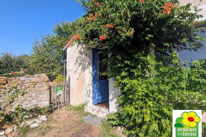 Cottage für 13 Personen, mit Garten - 1