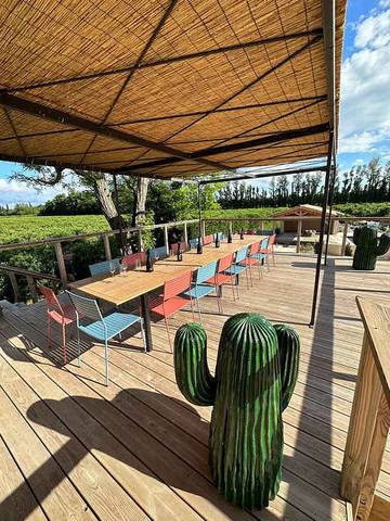 Maison De Vacances pour 20 Personnes dans Tarascon, Région d'Arles, Photo 3