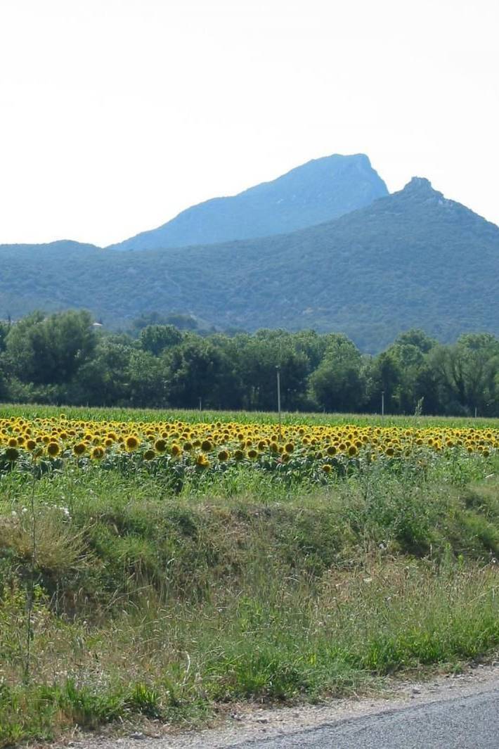 Location de vacances pour 4 personnes, avec piscine et jardin, animaux acceptés à Vacquières - 3