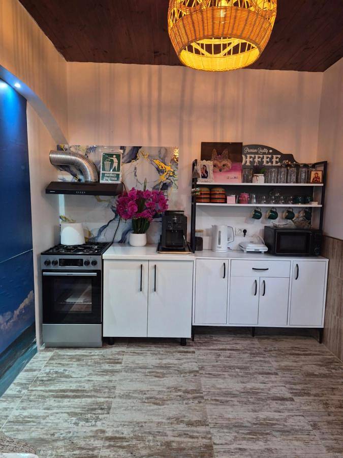 Maison d’hôte pour 3 personnes, avec terrasse et jardin dans Constanța - 2