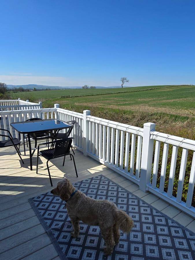 Glamping for 4 people, with Terrace and Garden as well as View in Ribble Valley