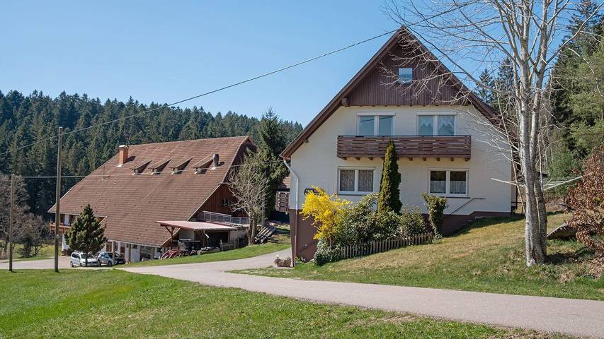 Ferienwohnung für 5 Personen, mit Garten, kinderfreundlich in Schramberg