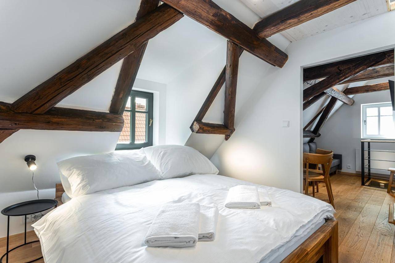 Geheel appartement, Studio Apartment in Bozi Dar, Klínovec