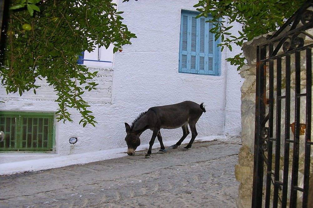 Ganze Wohnung, Julia Des Studio Seeansicht Naxos in einem schönen Meerblick Haus in Kykladen