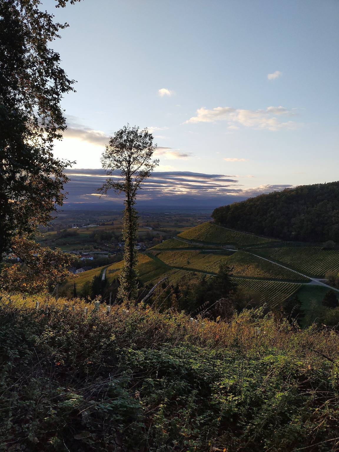 Vakantiewoning aan de Sulzbach, foto 12