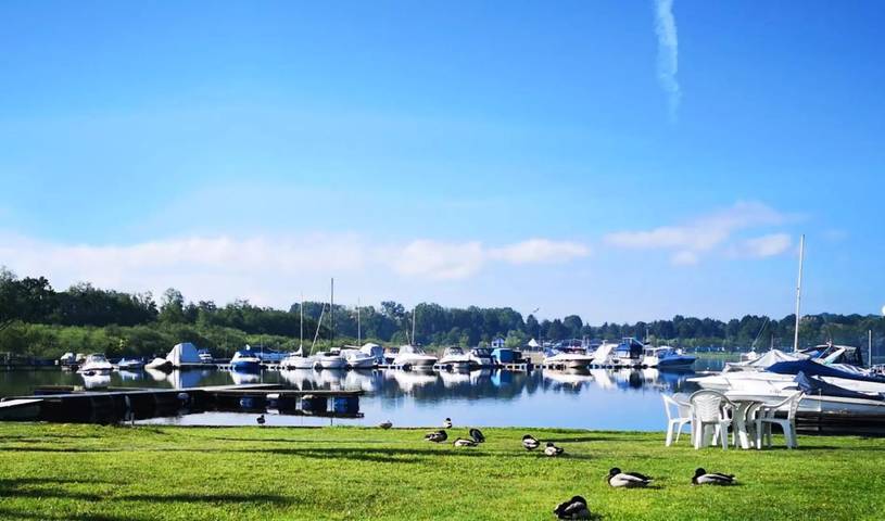 Bungalow voor 5 personen, met Terras en Zwembad aan Lago Maggiore