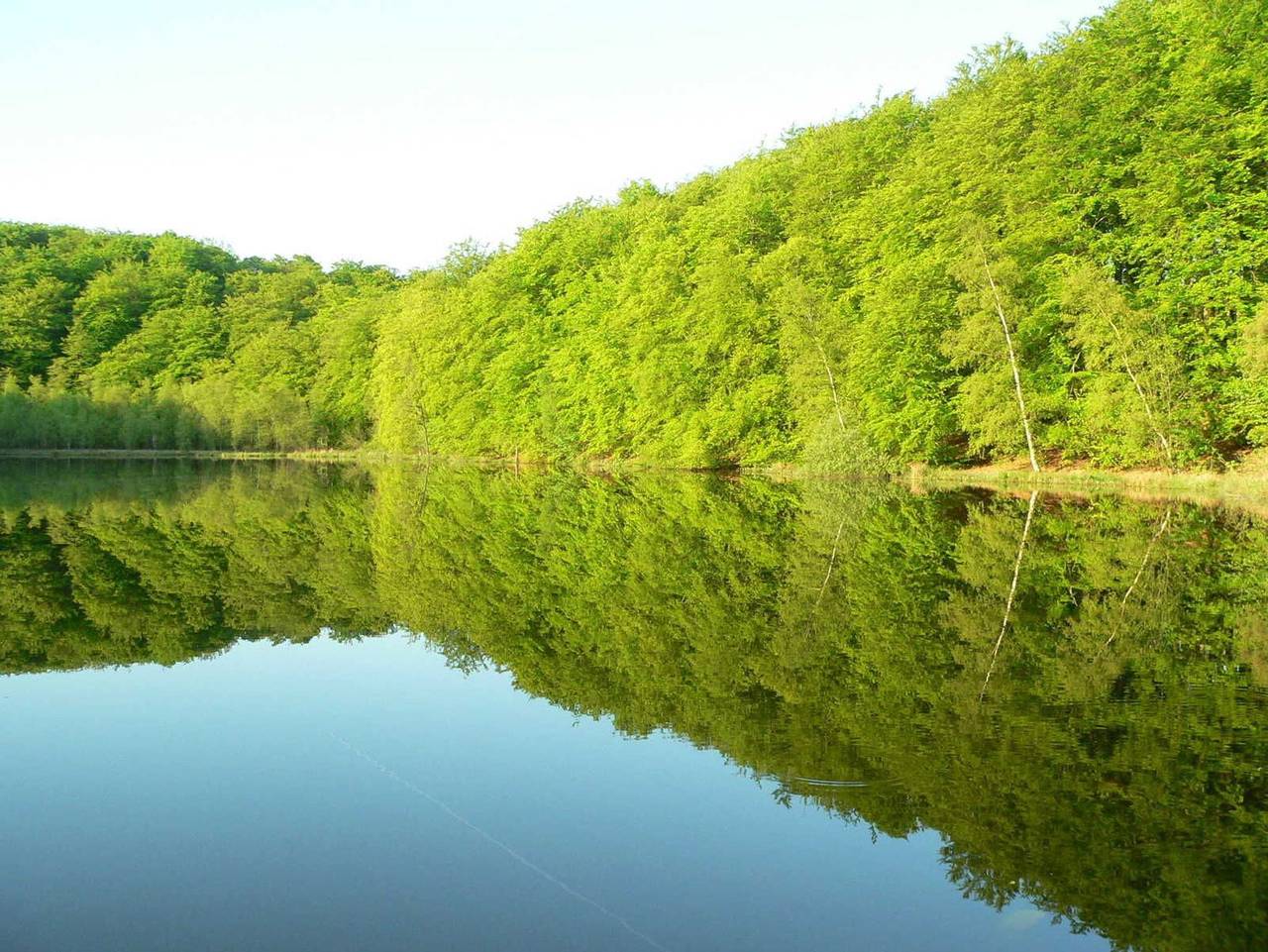 Ganze Ferienwohnung, Bungalow Nr. 9 & 10 Fahrradboxen verschließbar vorhanden! - Bungalow 9, Fahrradbox verschließbar vorhanden! in Binz, Rügen