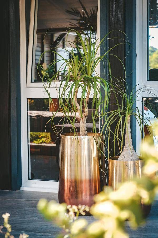 Maison d’hôte pour 2 personnes, avec vue ainsi que jardin et piscine dans Fort-de-France - 4