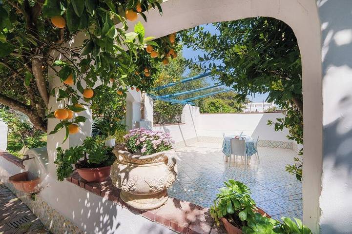 Holiday apartment for 4 people, with pets - 1