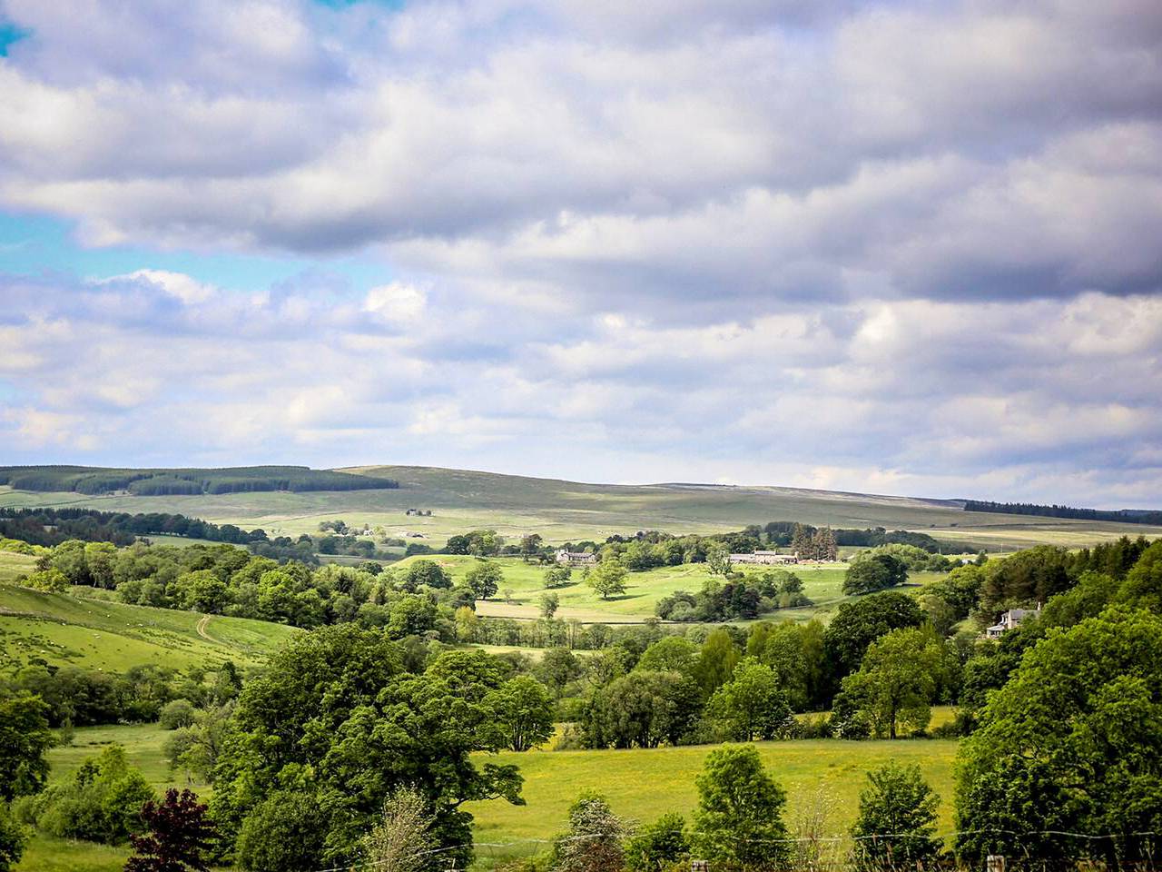 Venus 3 - Uk50473 in Kielder Forest Park