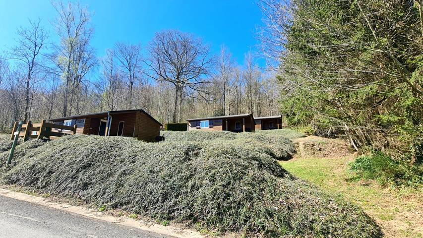 Gîte pour 4 personnes, avec terrasse, animaux acceptés dans les Ardennes - 3